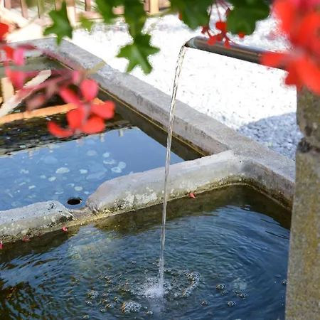 Le - Piscine Et * Morillon